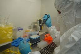 Scientists and hygienists helped detect West Nile virus...