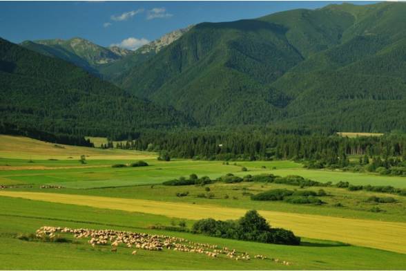 Stanovisko Komisie SAV pre životné prostredie a klimatickú zmenu k zásadám tvorby a schvaľovania...